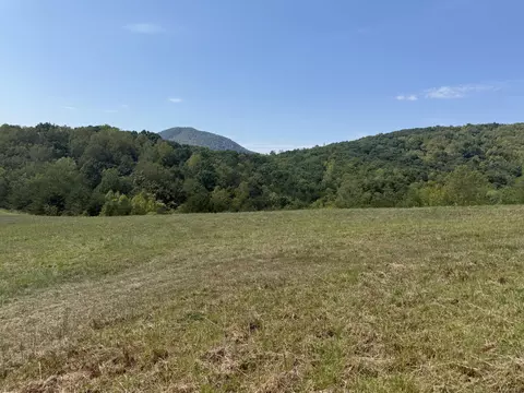 Exterior - 576 Alpine Rd, Buchanan, VA 24066 photo 11 of 27