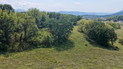 Other - 576 Alpine Rd, Buchanan, VA 24066 photo 42 of 47