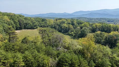 View/Area - 576 Alpine Rd, Buchanan, VA 24066 photo 4 of 7