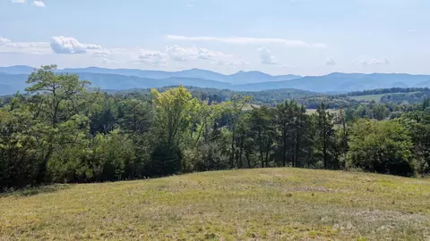 Other - 576 Alpine Rd, Buchanan, VA 24066 photo 37 of 47