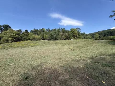 Exterior - 576 Alpine Rd, Buchanan, VA 24066 photo 17 of 27