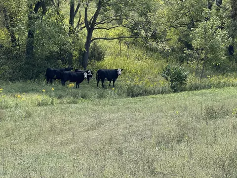 Other - 576 Alpine Rd, Buchanan, VA 24066 photo 30 of 47