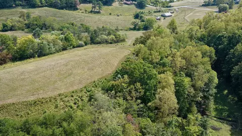 View/Area - 576 Alpine Rd, Buchanan, VA 24066 photo 2 of 7
