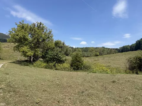 Exterior - 576 Alpine Rd, Buchanan, VA 24066 photo 21 of 27
