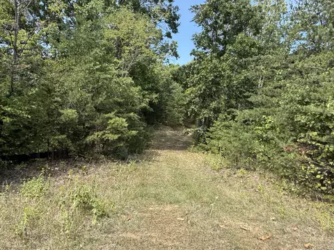 Other - 576 Alpine Rd, Buchanan, VA 24066 photo 23 of 47