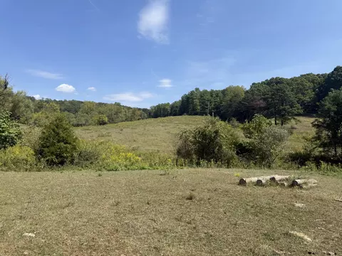 Exterior - 576 Alpine Rd, Buchanan, VA 24066 photo 19 of 27