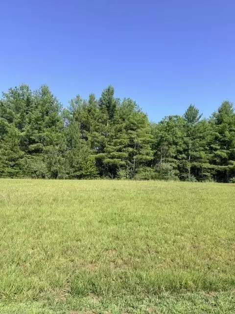 0 Pine Watch Cir, Moneta, VA 24121 photo 4