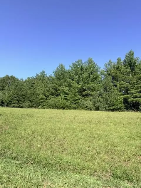 0 Pine Watch Cir, Moneta, VA 24121 photo 2