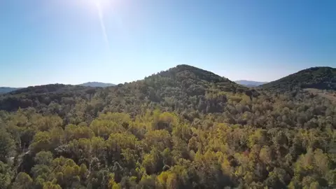 0 Pilot Mountain Rd, Moneta, VA 24121 photo 2