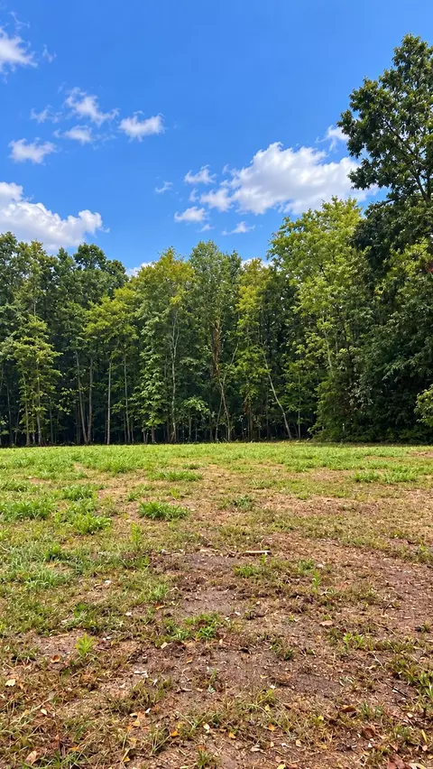 0 Cifax Rd, Goode, VA 24556 photo 4