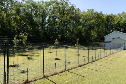 Exterior - 3545 Orange Ave NE, Roanoke, VA 24012 photo 10 of 17