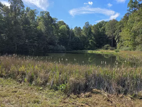 tbd Ferney Creek Rd NW, Willis, VA 24380