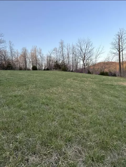0 Tharp Creek Rd, Ferrum, VA 24088 photo 7