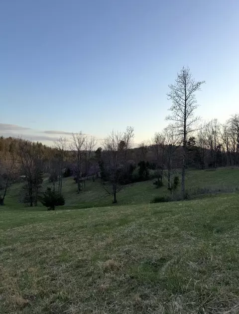 0 Tharp Creek Rd, Ferrum, VA 24088 photo 6