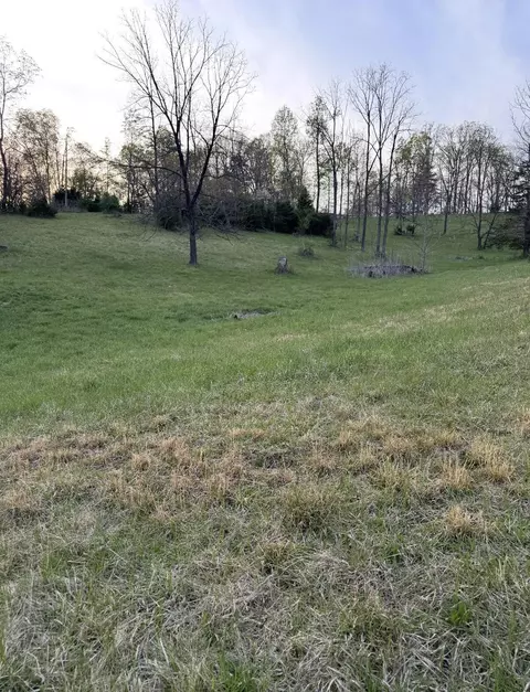 0 Tharp Creek Rd, Ferrum, VA 24088 photo 2