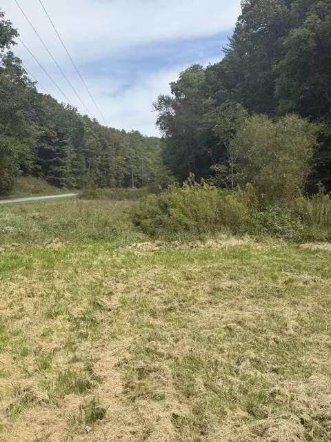 Other - 5423 Indian Draft Rd, Covington, VA 24426 photo 3 of 6