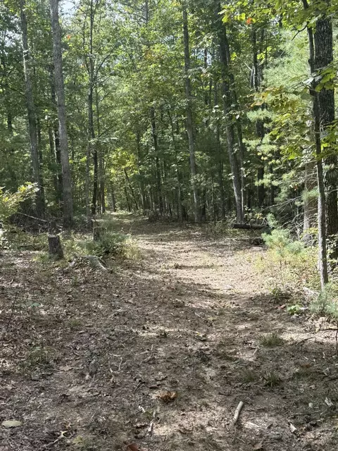 Other - 5423 Indian Draft Rd, Covington, VA 24426 photo 5 of 6