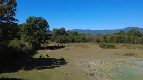 Other - 6305 Bens Run Rd, Covington, VA 24426 photo 8 of 16