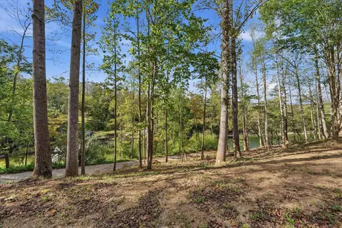 853 Juniper Rd, Hardy, VA 24101 photo 7