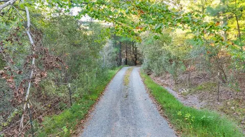 Other - 1182 Rabbit Dr, Thaxton, VA 24174 photo 27 of 29