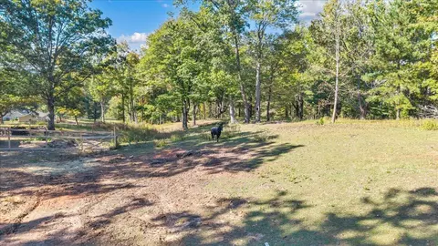 Exterior - 2846 Pendleton Rd, Thaxton, VA 24174 photo 37 of 62