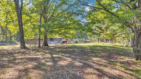 Exterior - 2846 Pendleton Rd, Thaxton, VA 24174 photo 38 of 62