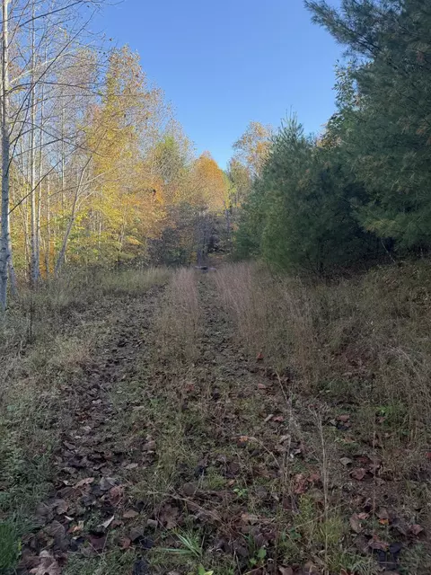 0 Shelor Rd SW, Meadows Of Dan, VA 24120
