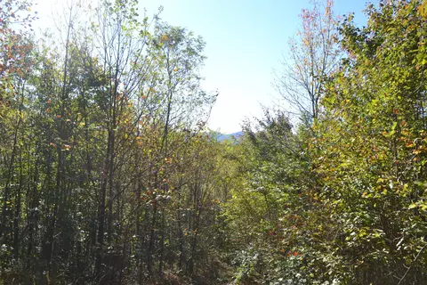0 Brammer Spur Rd, Woolwine, VA 24185 photo 25
