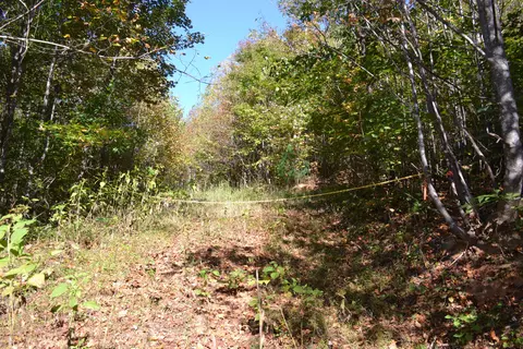 0 Brammer Spur Rd, Woolwine, VA 24185 photo 33