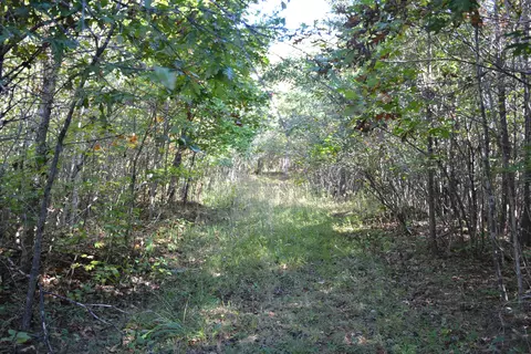 0 Brammer Spur Rd, Woolwine, VA 24185 photo 22