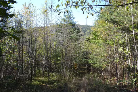 0 Brammer Spur Rd, Woolwine, VA 24185 photo 24