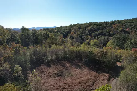 0 Brammer Spur Rd, Woolwine, VA 24185 photo 8