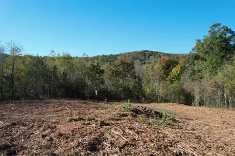 0 Brammer Spur Rd, Woolwine, VA 24185 photo 18