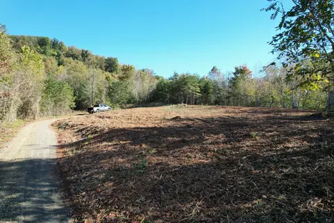 0 Brammer Spur Rd, Woolwine, VA 24185 photo 15