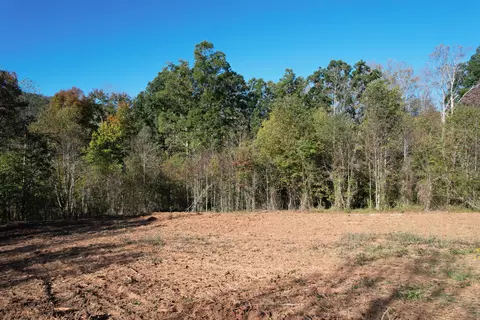 0 Brammer Spur Rd, Woolwine, VA 24185 photo 17
