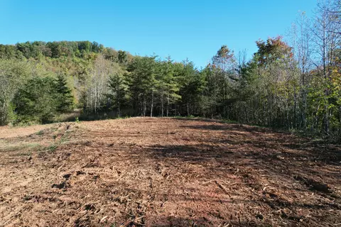 0 Brammer Spur Rd, Woolwine, VA 24185 photo 16