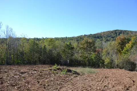 0 Brammer Spur Rd, Woolwine, VA 24185 photo 7