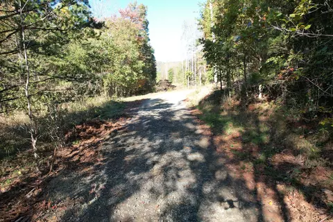 0 Brammer Spur Rd, Woolwine, VA 24185 photo 12