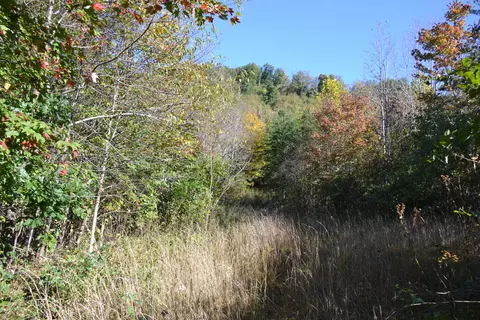 0 Brammer Spur Rd, Woolwine, VA 24185 photo 20