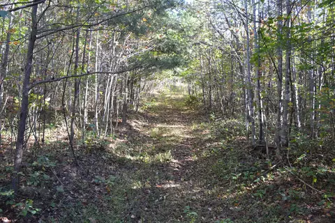 0 Brammer Spur Rd, Woolwine, VA 24185 photo 23