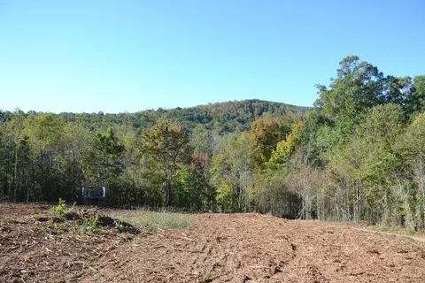 0 Brammer Spur Rd, Woolwine, VA 24185 photo 4