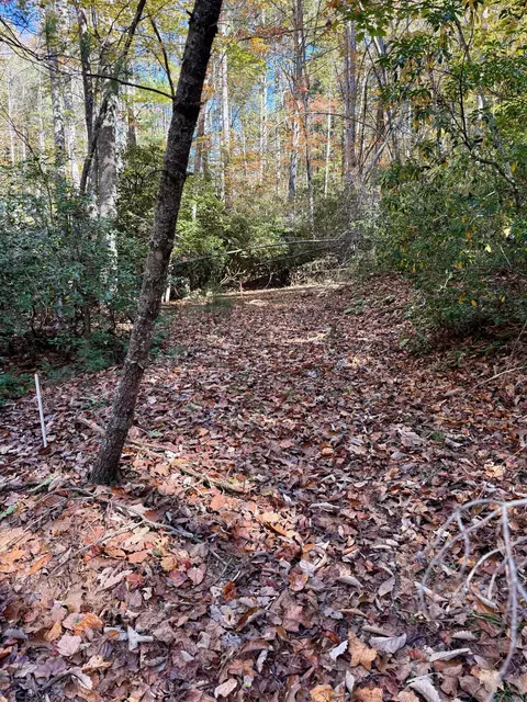 tbd Weeks Rd NW, Floyd, VA 24091 photo 9