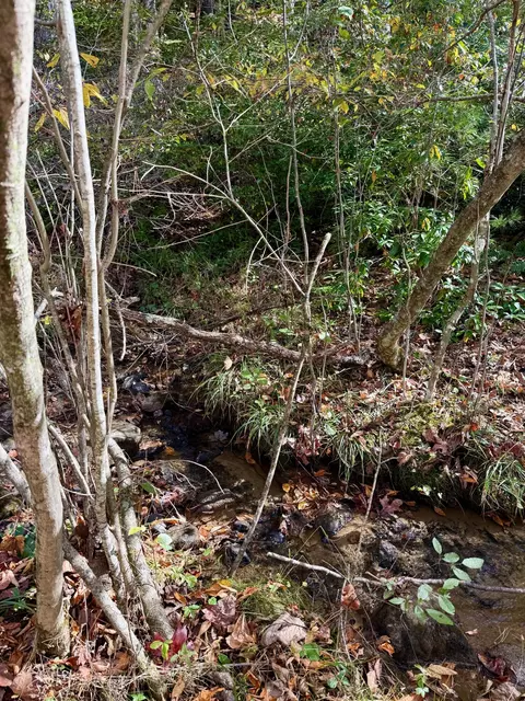 tbd Weeks Rd NW, Floyd, VA 24091 photo 8