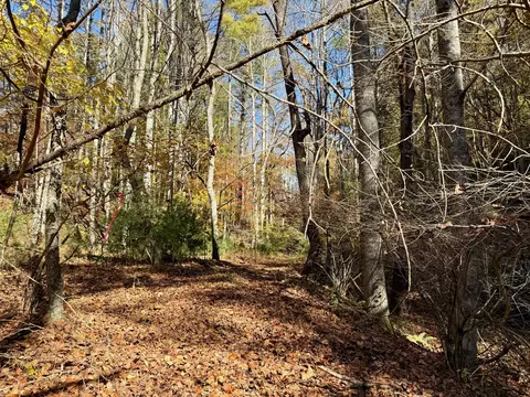 tbd Weeks Rd NW, Floyd, VA 24091 photo 3
