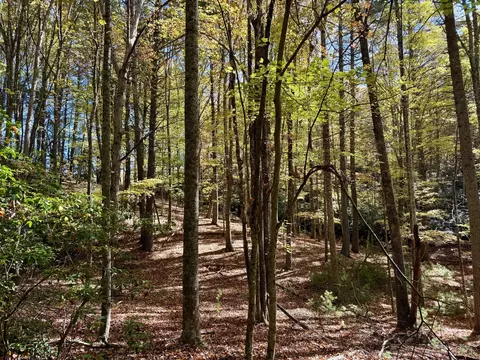 tbd Weeks Rd NW, Floyd, VA 24091 photo 13