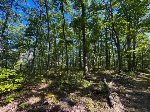 0 Alum Spring Rd, Pulaski, VA 24301 photo 13