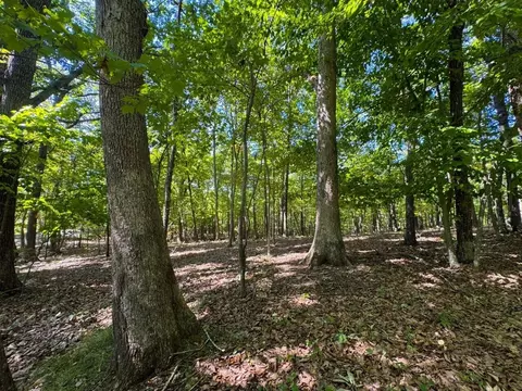 0 Alum Spring Rd, Pulaski, VA 24301 photo 14