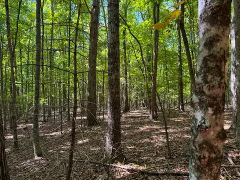 0 Alum Spring Rd, Pulaski, VA 24301 photo 17