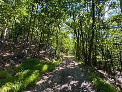 0 Alum Spring Rd, Pulaski, VA 24301 photo 15
