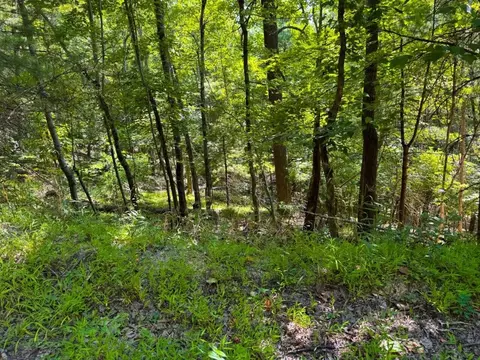 0 Alum Spring Rd, Pulaski, VA 24301 photo 9